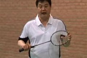 羽毛球系统训练与提高专业视频教程（李在福）
